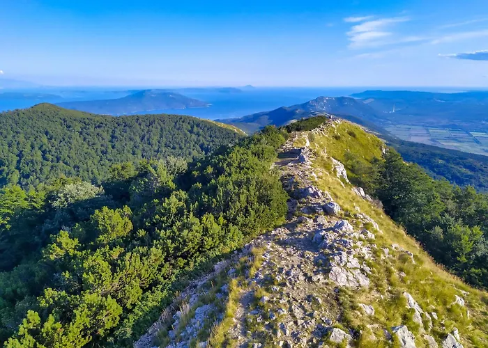 Lovrano-1 By Interhome Apartment Lovran